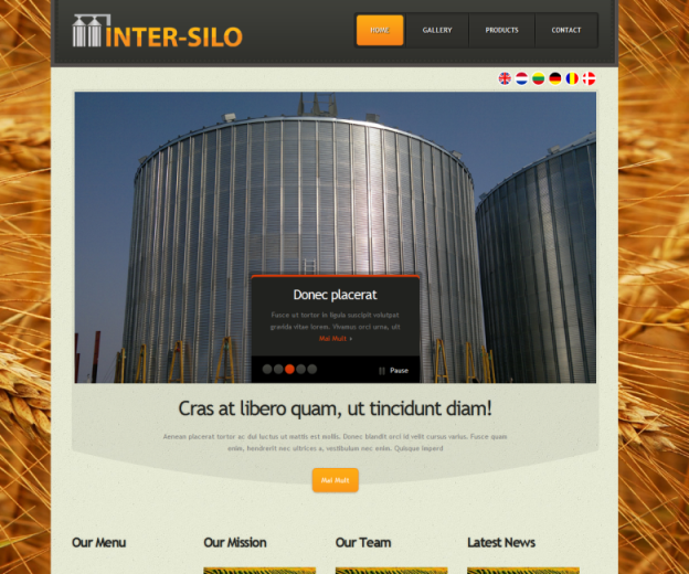 inter_silo