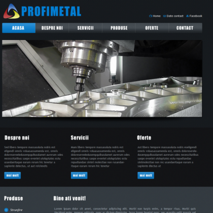 profi_metal